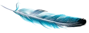 Feather
